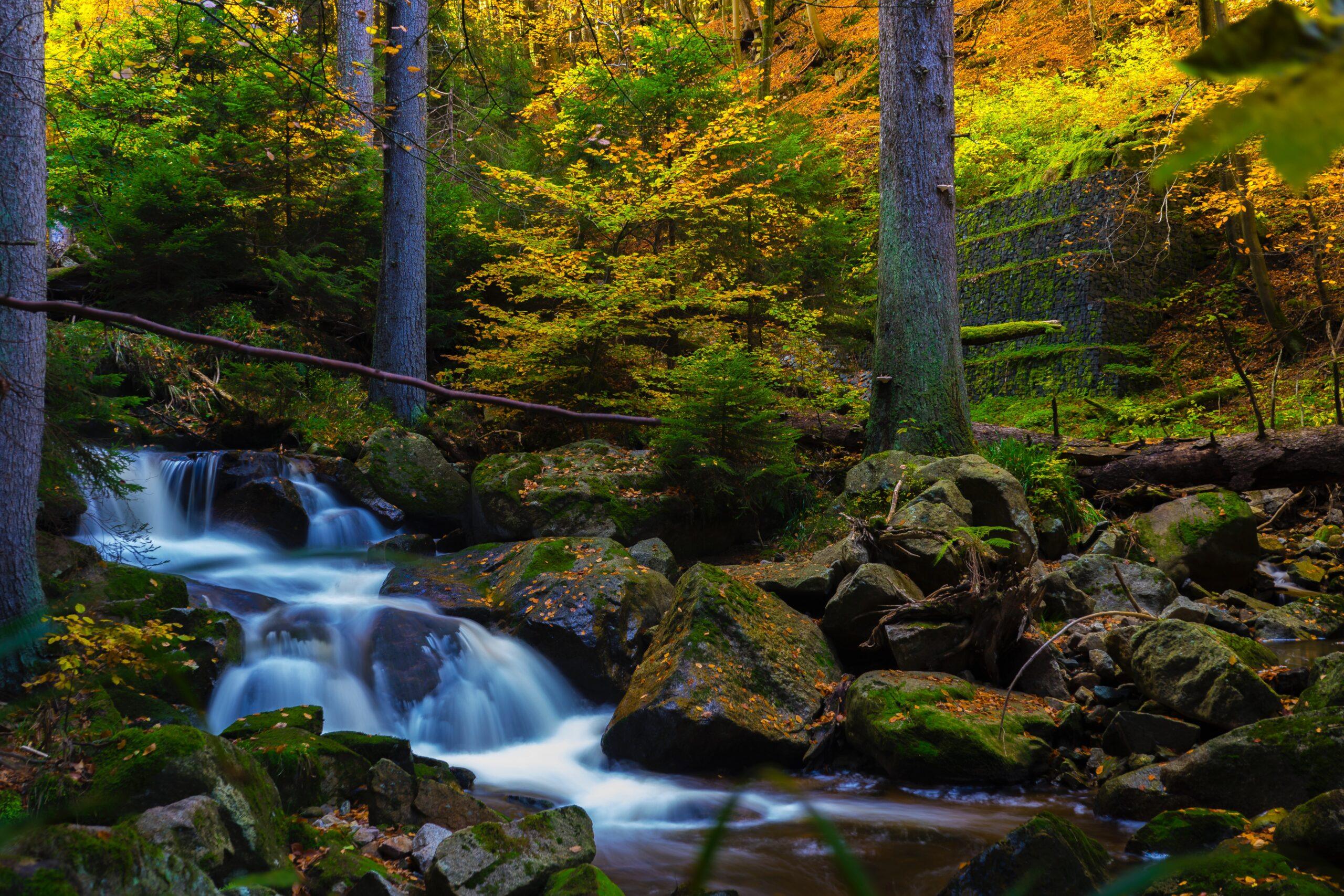 Wasserfall in bewaldeter Landschaft als Nachhaltigkeitsmotiv
